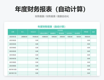 年度财务报表（自动计算)