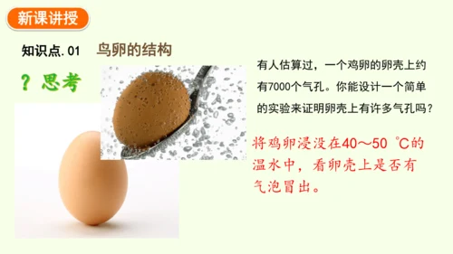 7.1.4鸟的生殖和发育-八年级生物人教版下学期同步精品课件(共24张PPT)