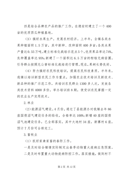 乡镇某年上半年总结及下半年工作计划.docx