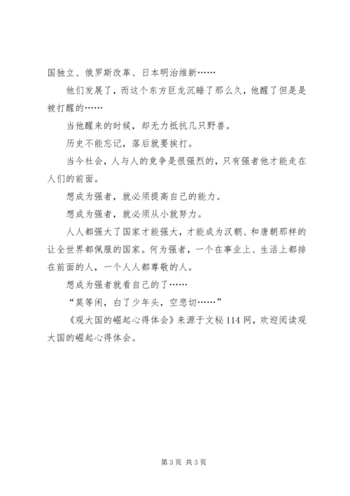 观大国的崛起心得体会.docx