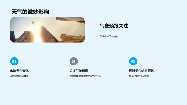 寒露农业应对策略