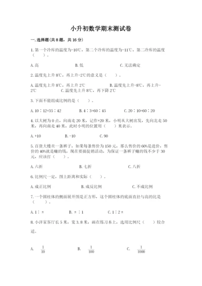 小升初数学期末测试卷【综合卷】.docx