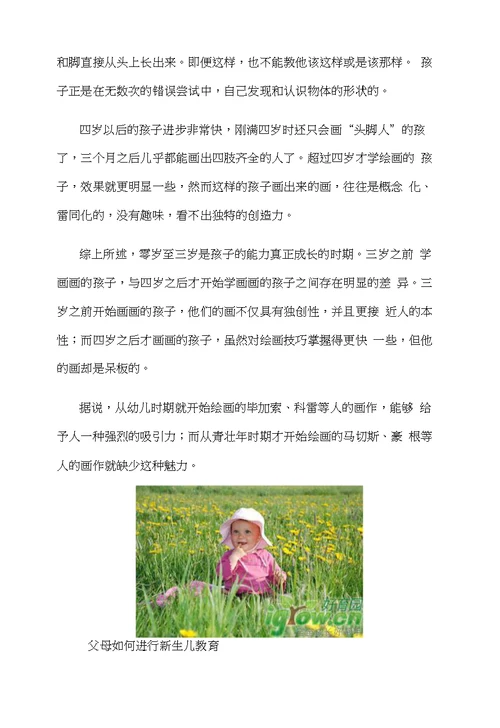 婴幼儿早期智力潜能开发方案精华版