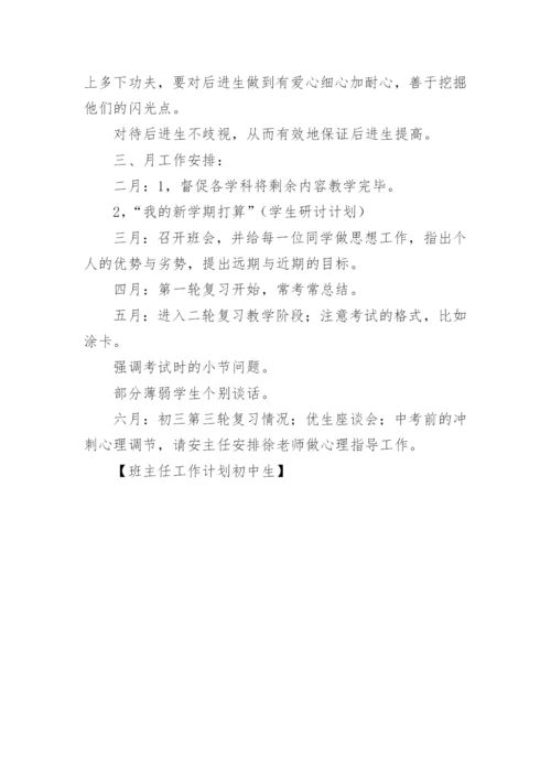 班主任工作计划初中生.docx