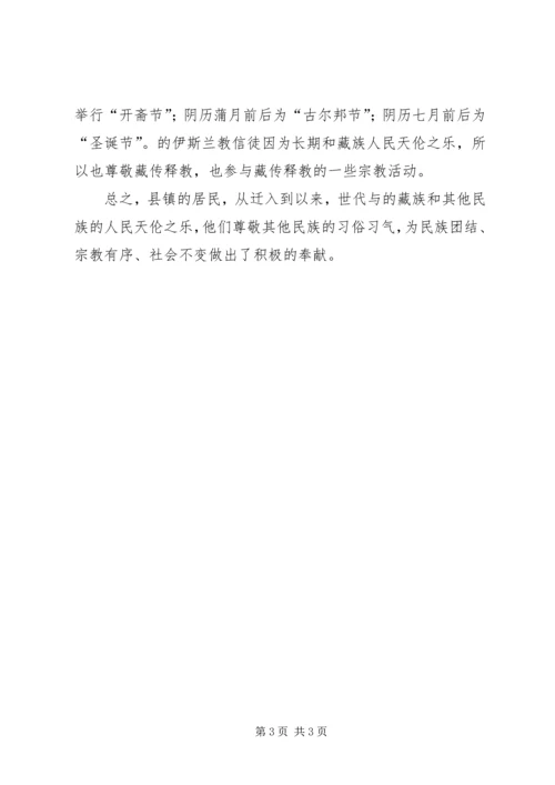 乡镇调解民族关系调研报告.docx