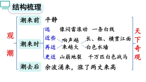 1 观潮 第一二课时    课件