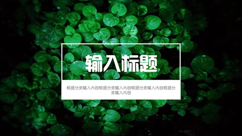 绿色叶子一叶一菩提通用PPT模板