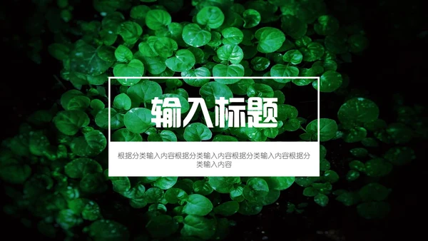 绿色叶子一叶一菩提通用PPT模板