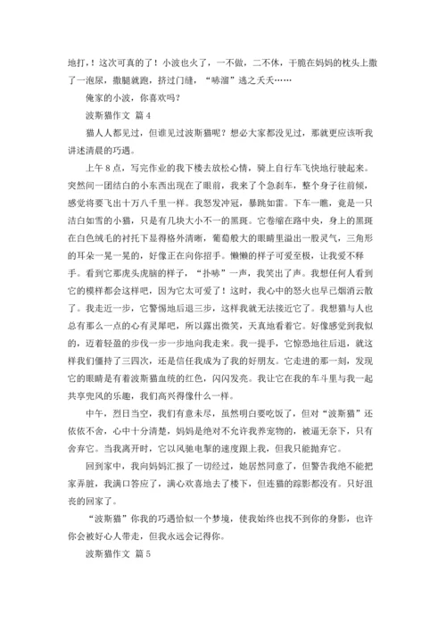 波斯猫作文锦集八篇.docx