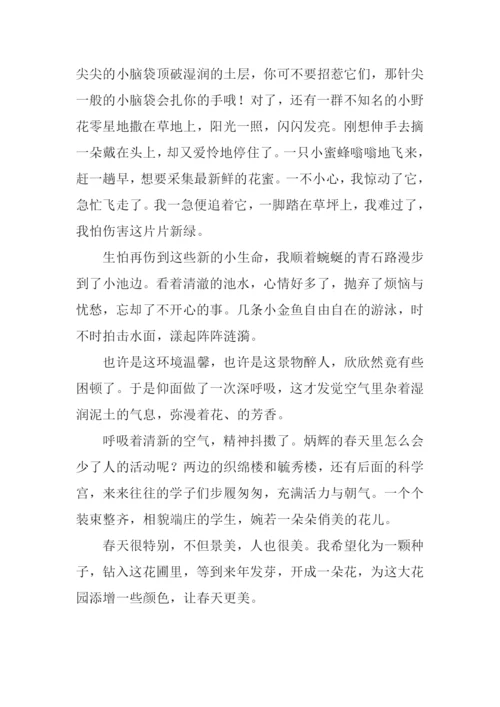 关于春景的作文.docx