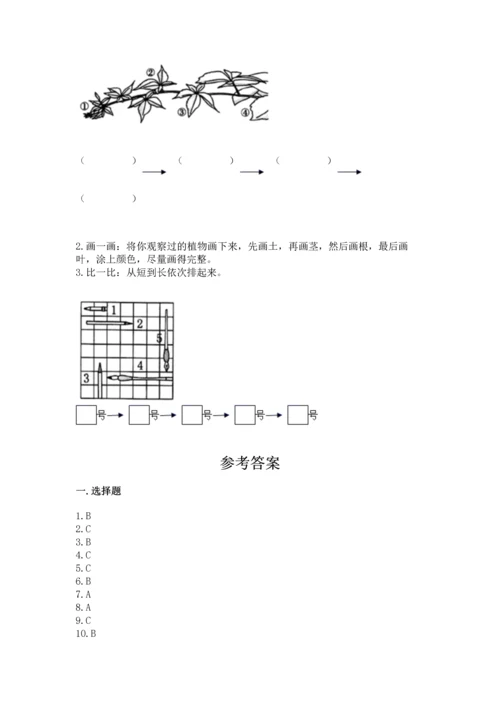 教科版科学一年级上册期末测试卷【研优卷】.docx