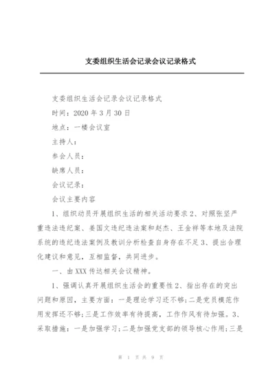 支委组织生活会记录会议记录格式.docx