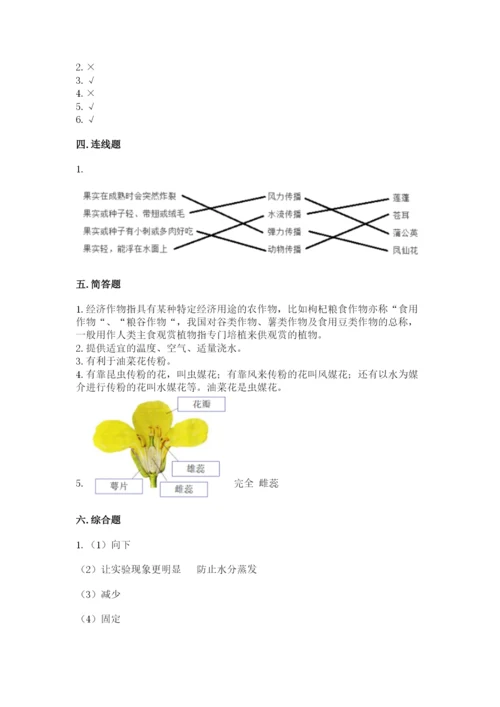 科学四年级下册第一单元《植物的生长变化》测试卷【培优b卷】.docx