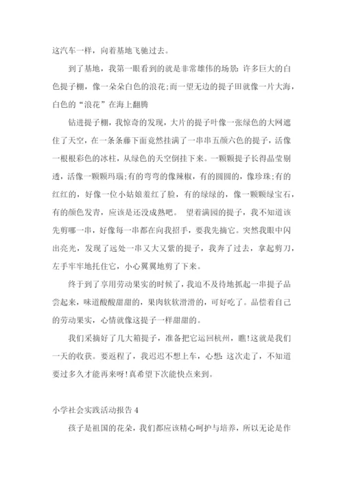 小学社会实践活动报告.docx