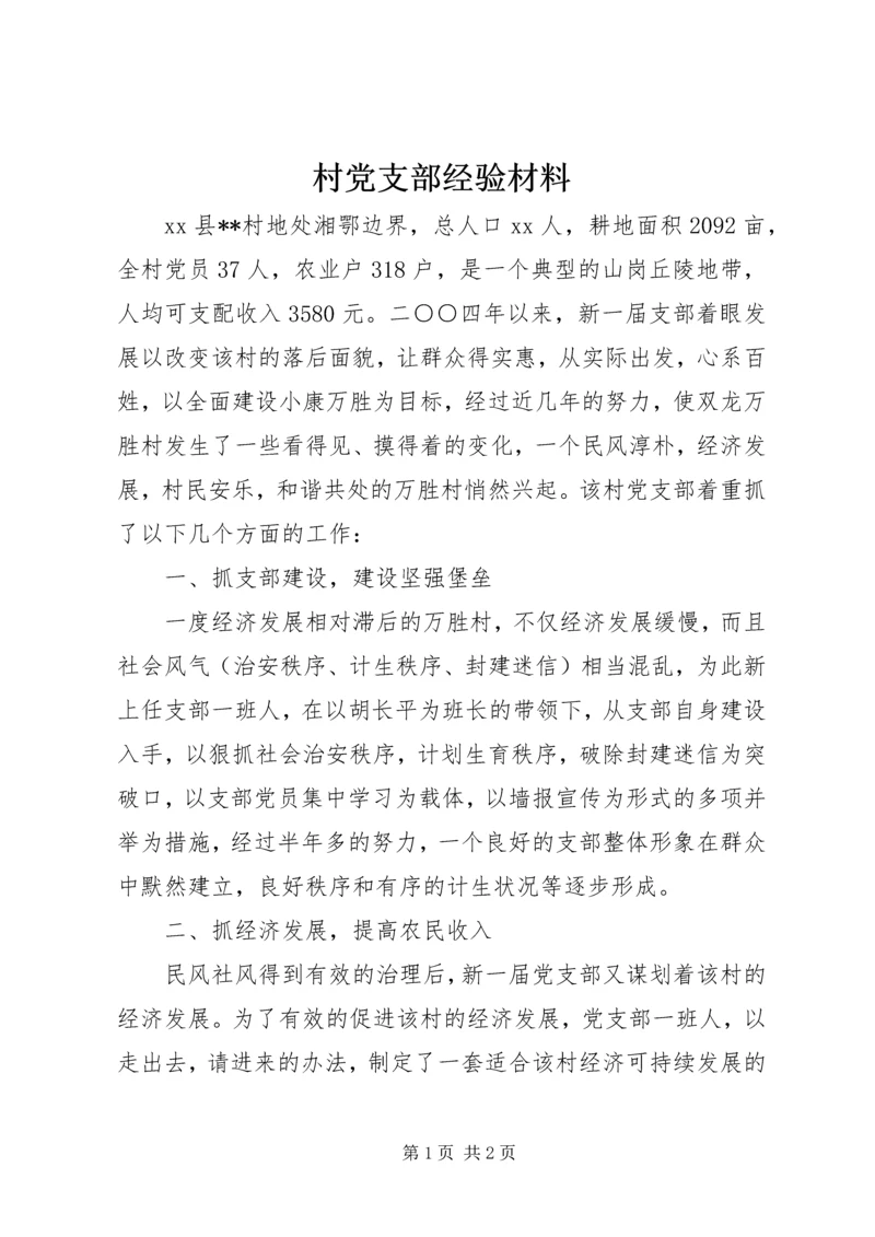 村党支部经验材料 (3).docx