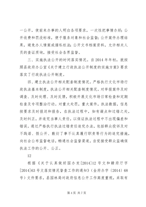 国土资源政务信息网上公开工作自查报告_1.docx