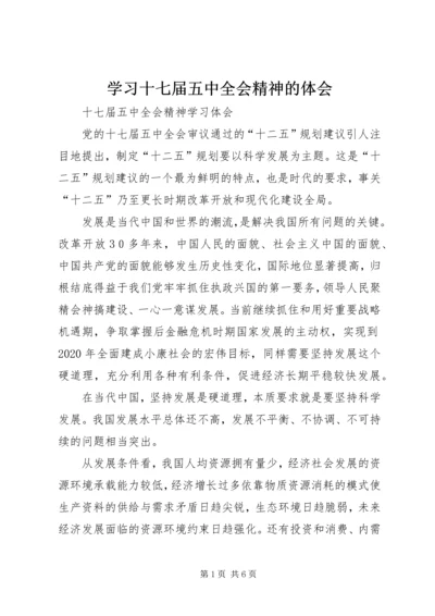 学习十七届五中全会精神的体会 (2).docx