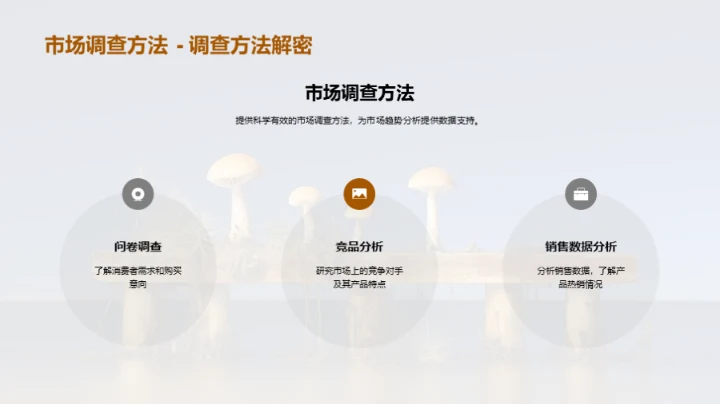 食用菌市场：全面解析