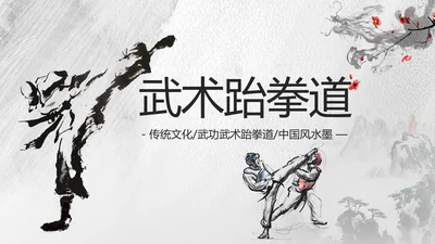 中国风水墨武术跆拳道空手道比赛PPT模板