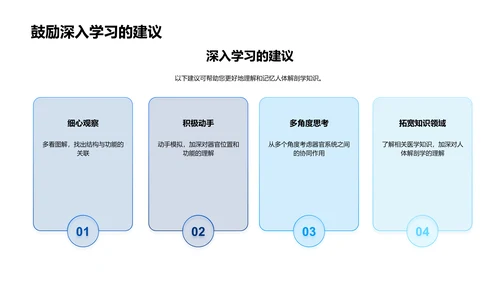 解剖学教学报告PPT模板