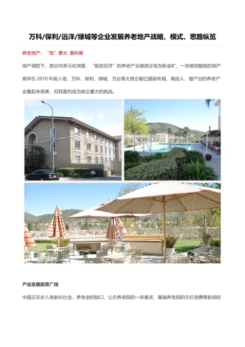 知名房企发展养老地产战略及思路纵览.docx