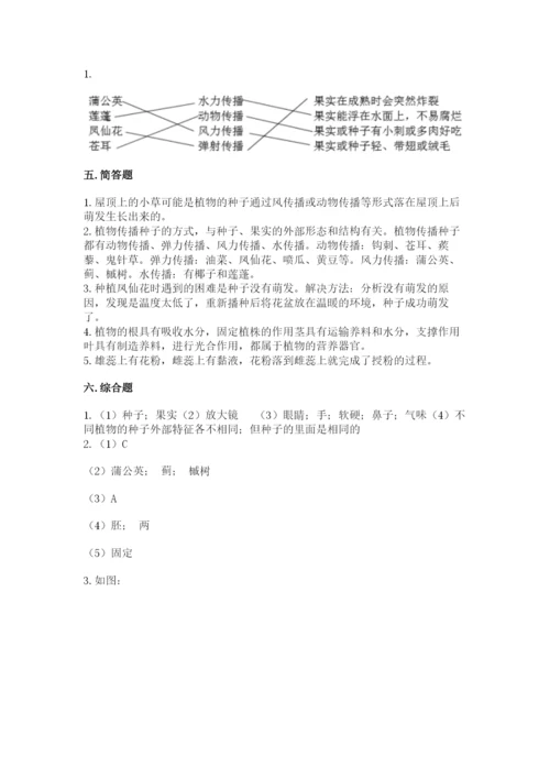 科学四年级下册第一单元《植物的生长变化》测试卷附完整答案（各地真题）.docx