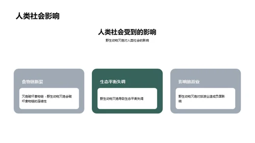 保护野生动物的重要性