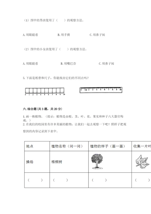 教科版一年级上册科学期末测试卷及下载答案.docx