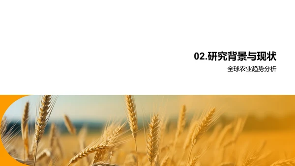 农学研究探析