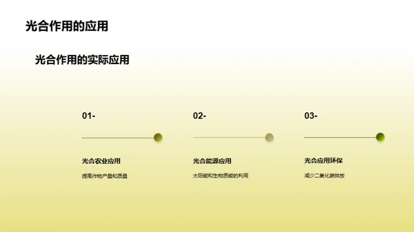 探索光合作用的秘密