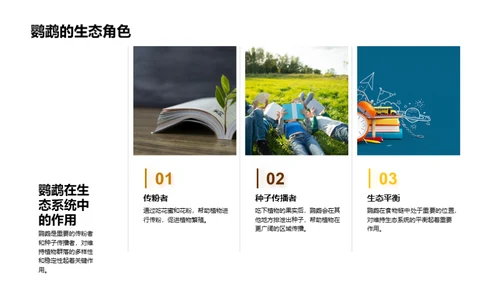 探秘动物世界