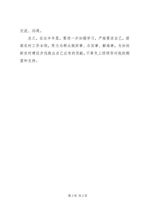 村主任助理个人工作计划.docx