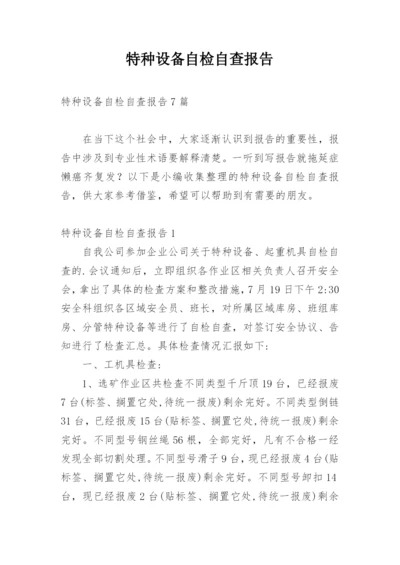 特种设备自检自查报告.docx