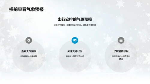 应对大雪的全面策略