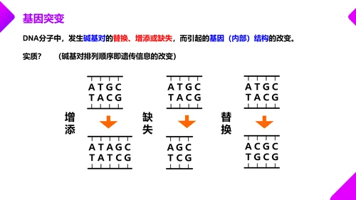 基因突变和基因重组初高中生物PPT课件