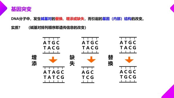 基因突变和基因重组初高中生物PPT课件