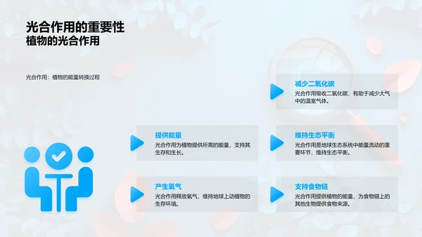 植物分类与适应性PPT模板