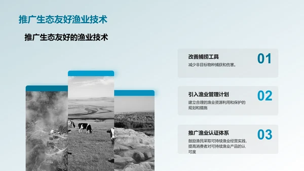 可持续渔业管理