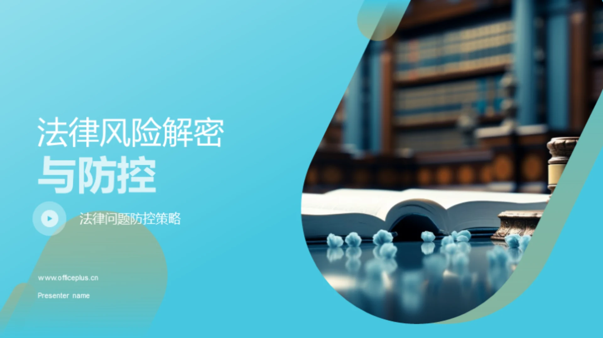 法律风险解密与防控