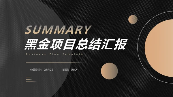 黑金商业计划投资收益报告通用PPT模板