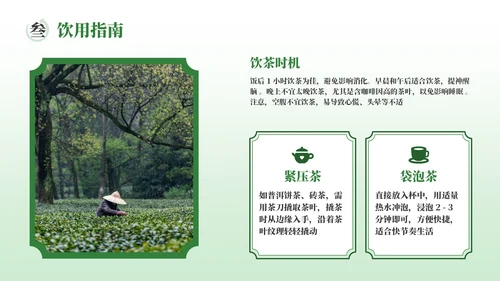 绿色茶产品介绍宣传PPT模板