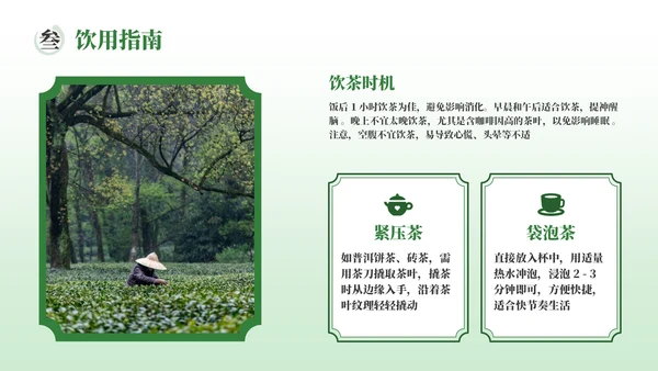 绿色茶产品介绍宣传PPT模板