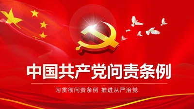 学习贯彻《问责条例》PPT党课