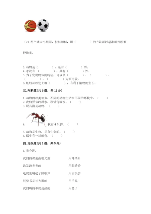教科版一年级下册科学期末测试卷（a卷）.docx