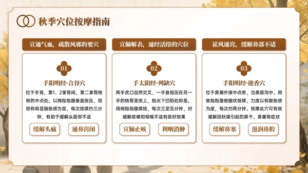 棕色系中国风秋季养生讲座PPT模板