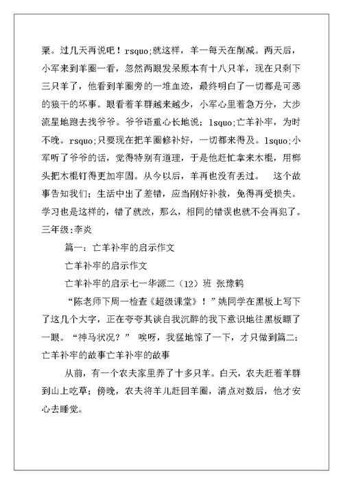 2022年亡羊补牢作文300字5篇