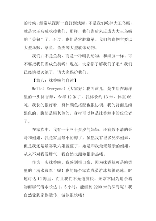 抹香鲸的自述500字.docx