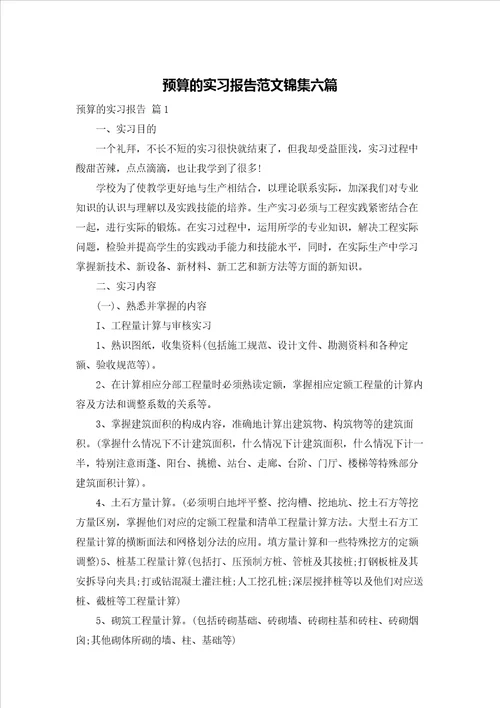 预算的实习报告范文锦集六篇