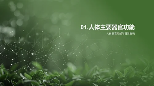 人体系统协作讲座PPT模板