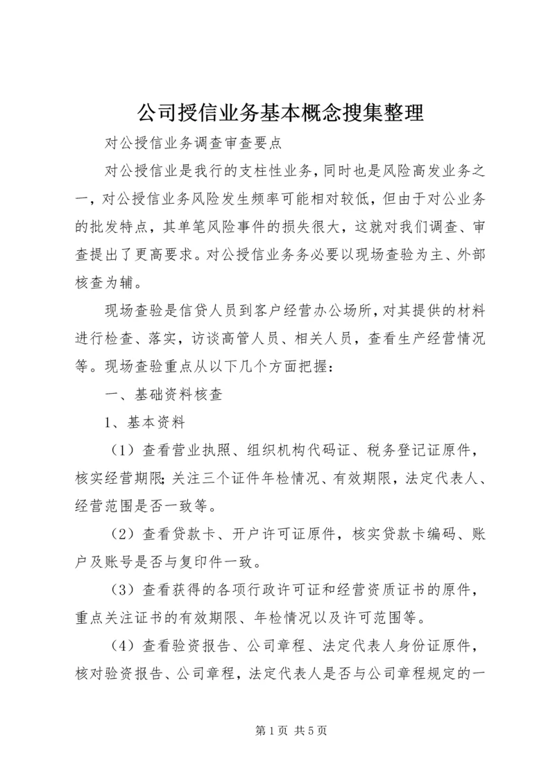 公司授信业务基本概念搜集整理 (5).docx